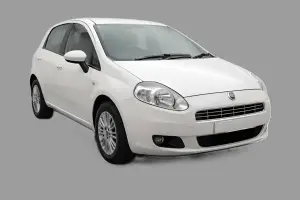 Golden Dragon Group - Fiat Punto Diesel Category Medium or similar
