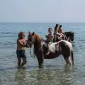Horse Riding & Swimming – Three-Hour Ride