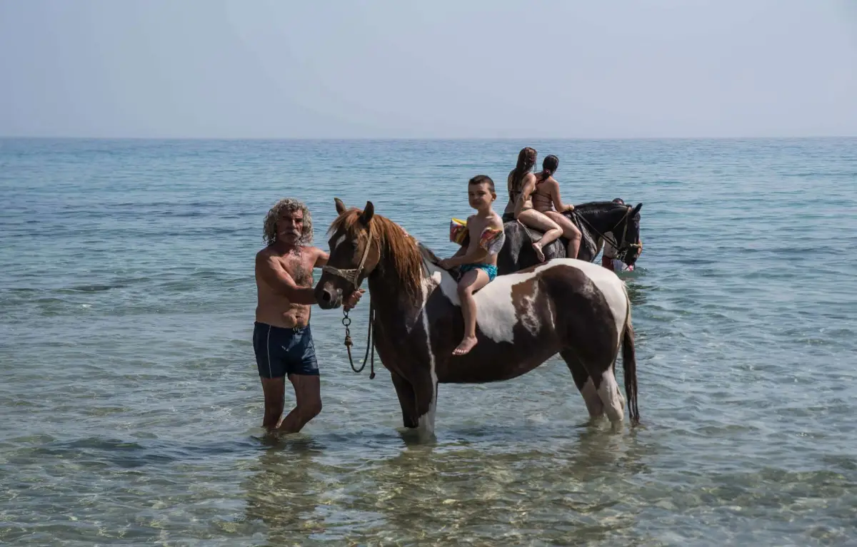 Horse Riding & Swimming – Three-Hour Ride