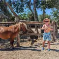 Horse Riding by the Sea (duration 45 minutes)