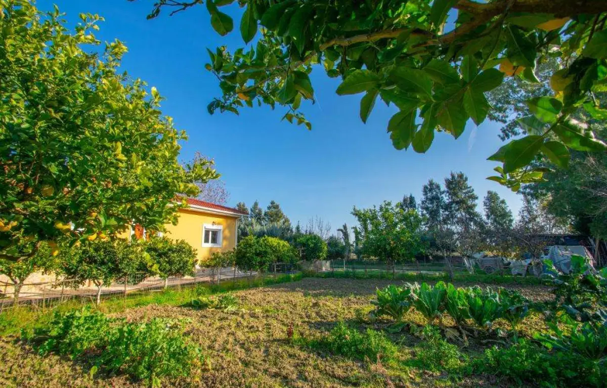 Loukas Farm House