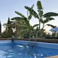 Chrysanthi's House