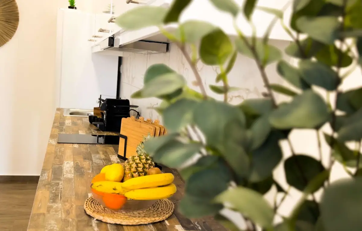 Sinati Luxury Studios