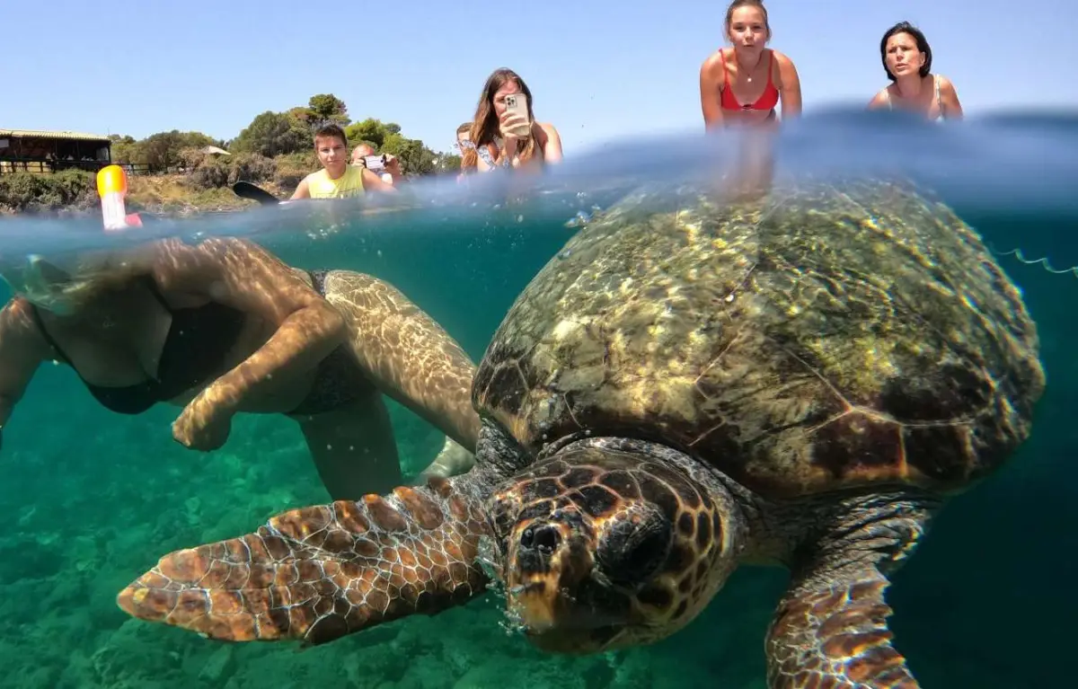 Eros Caves Snorkeling Morning Experience