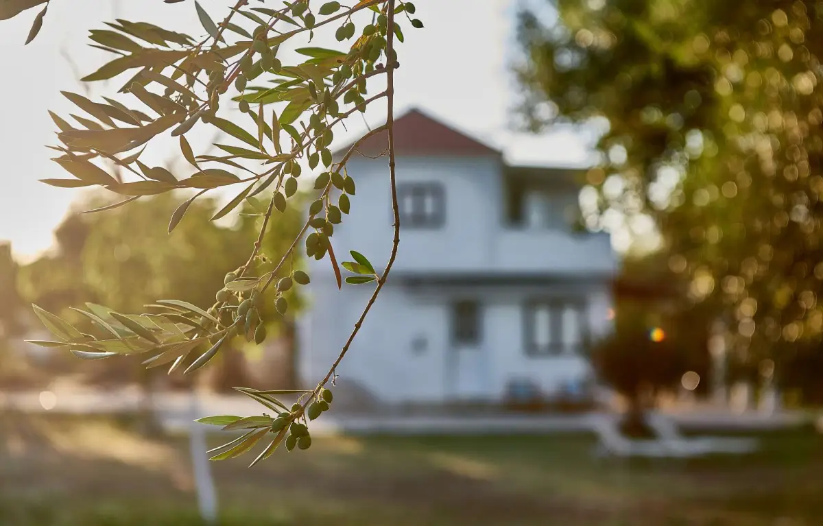 Villa Rania / Zante Drosia