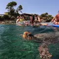 Marathonisi (Turtle Island) Sup & Snorkeling Sunset Experience