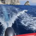 Three And A Half Hours Private Cruise With A Captain