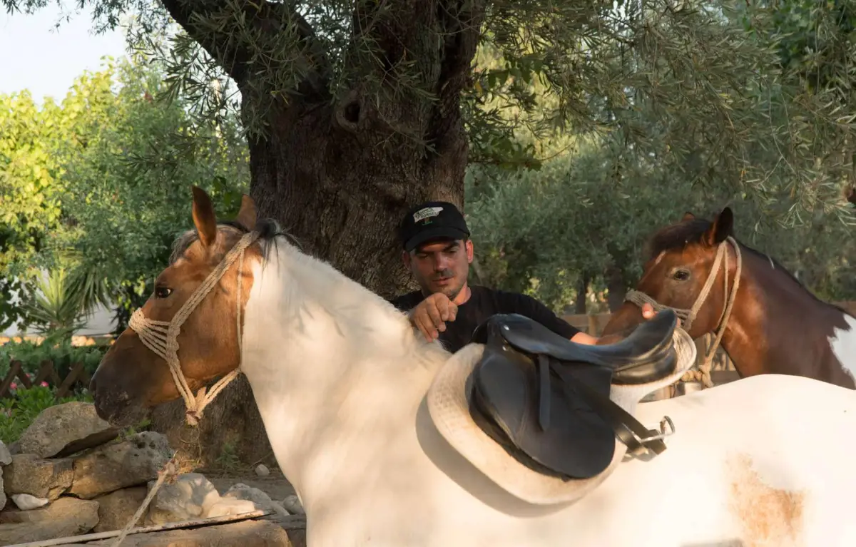 Horse Riding & Swimming – Three-Hour Ride