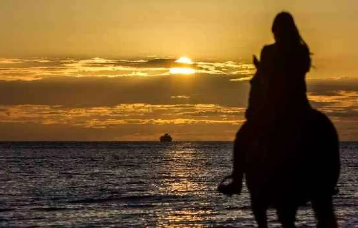 Horse Riding and swimming