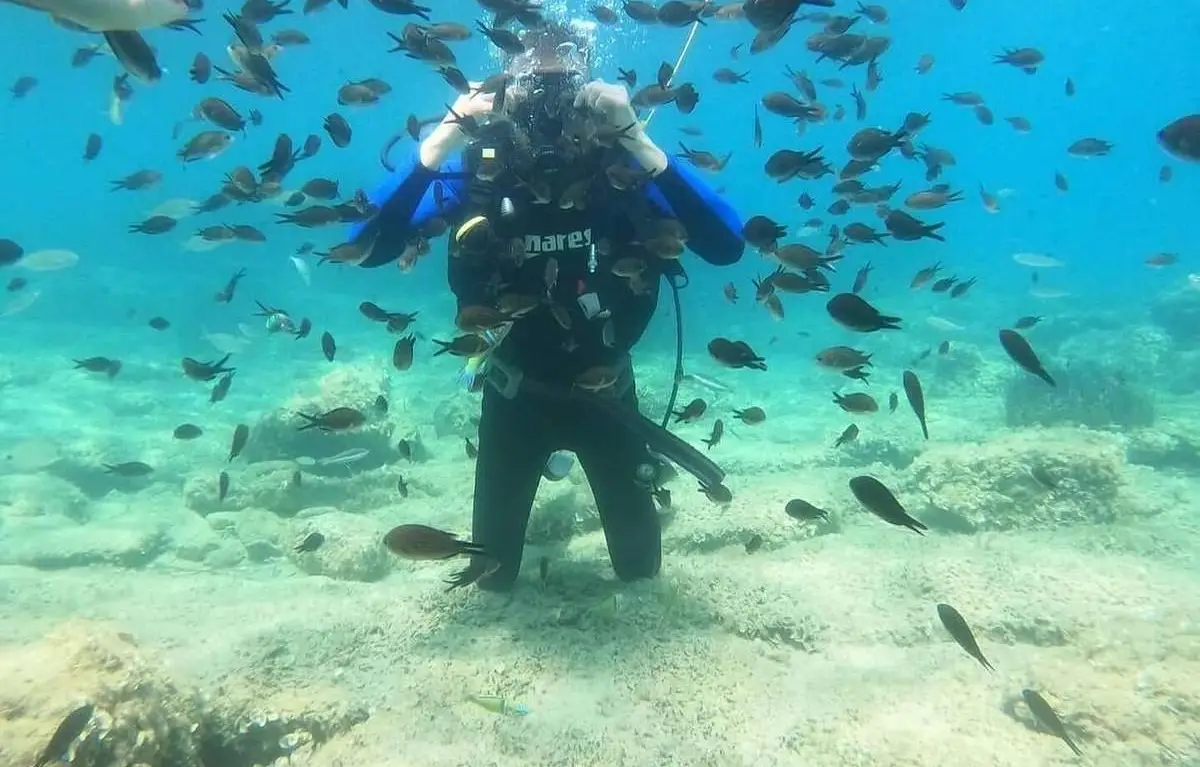 Experianced Scuba Diving 