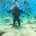 Experianced Scuba Diving 