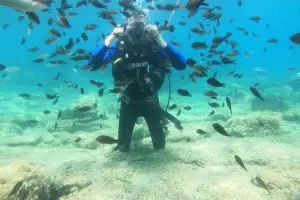 Zante Ways Travel - Experianced Scuba Diving 
