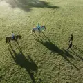 Horse Riding