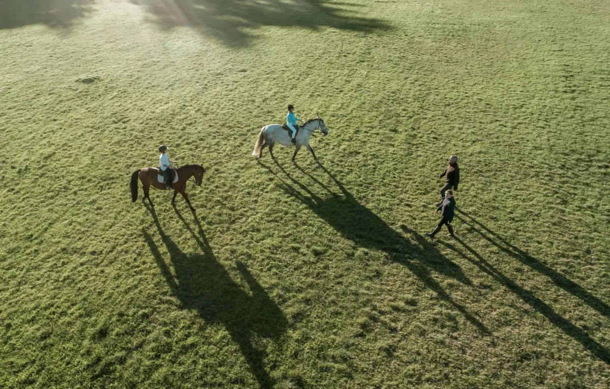 Horse Riding