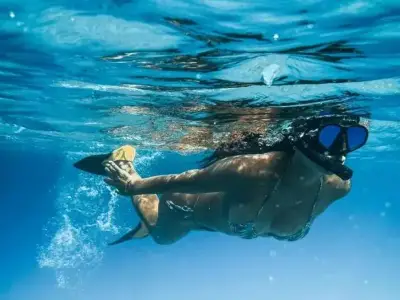 Guided Snorkeling