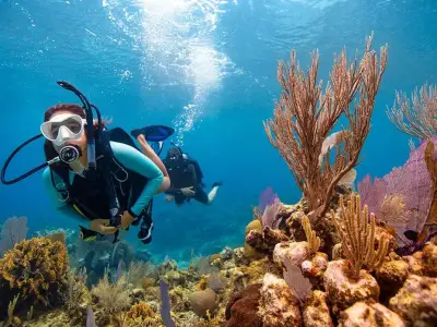 PADI Open Water Diver course