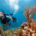 PADI Open Water Diver course