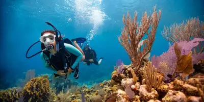 PADI Open Water Diver course