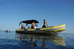 Boat Trip for Non Divers