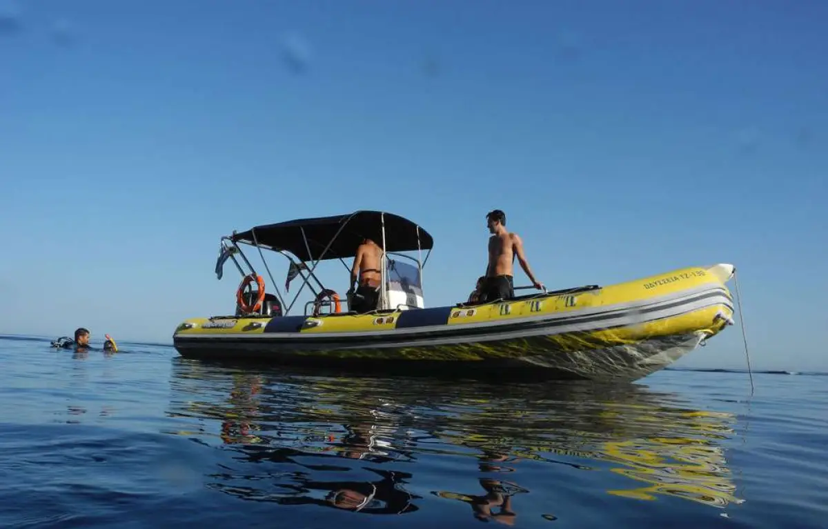 Boat Trip for Non Divers