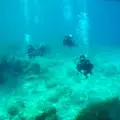 Certified Divers Scuba Diving