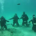 Experianced Scuba Diving 