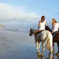 Horse Riding and swimming