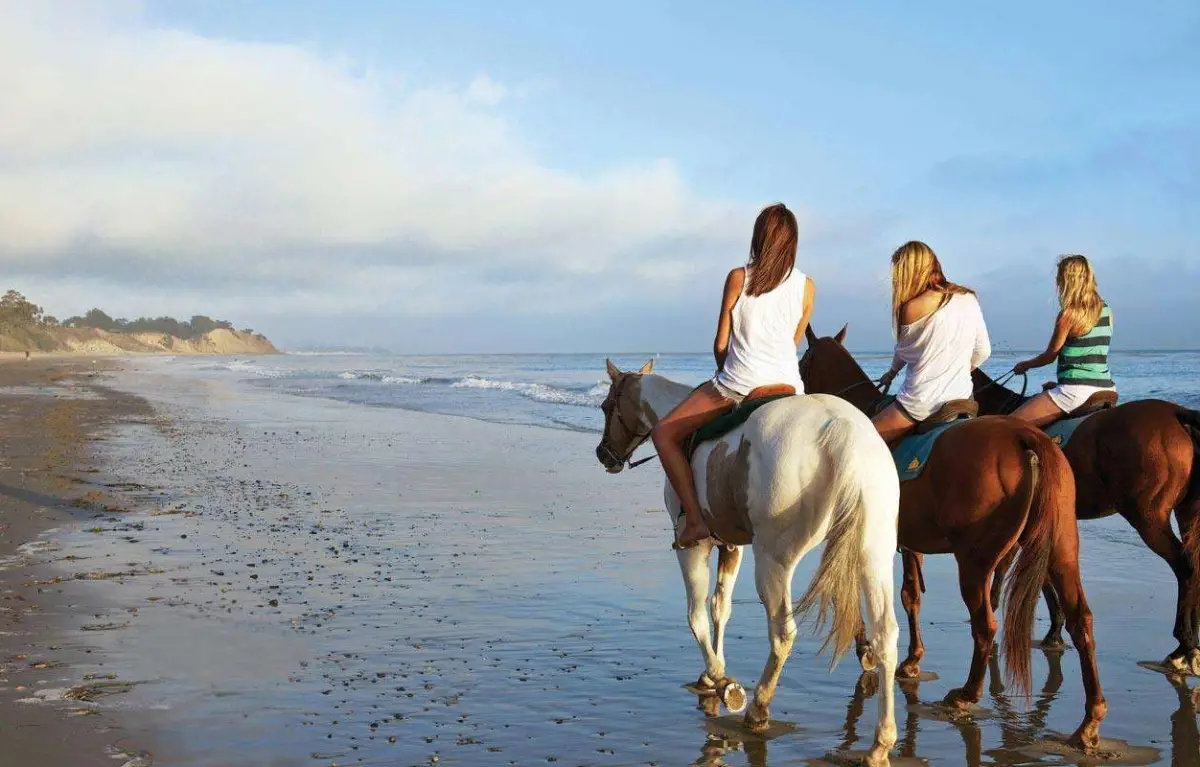 Horse Riding and swimming