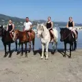 Horse Riding by the Sea (duration 45 minutes)