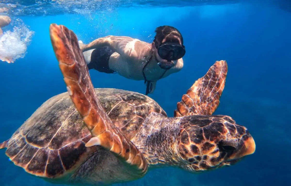 Marathonisi (Turtle Island) Sup Noon Experience