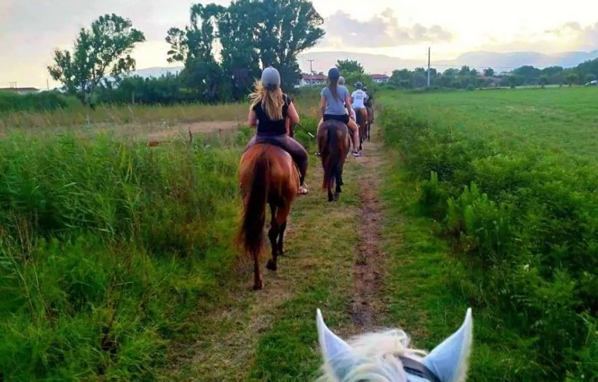 Horse Riding