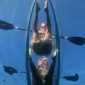 Transparent kayak Rental