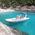 2 Hours Cruise to Shipwreck