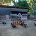 Loukas Farm House
