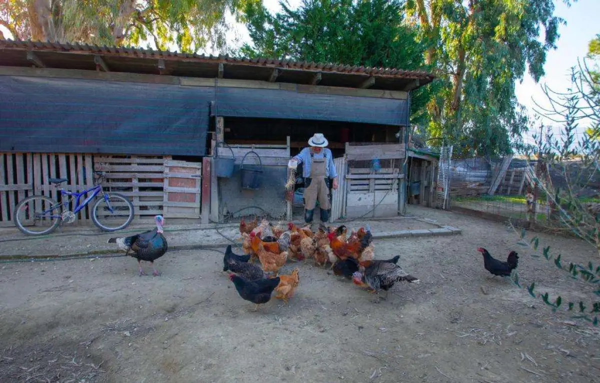 Loukas Farm House