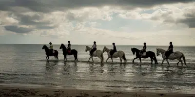 Horse Riding and swimming