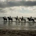 Horse Riding and swimming