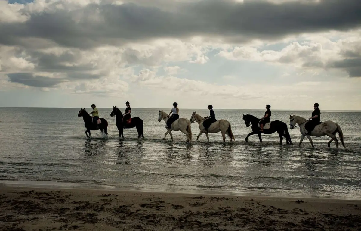 Horse Riding and swimming