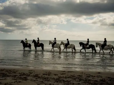 Horse Riding and swimming