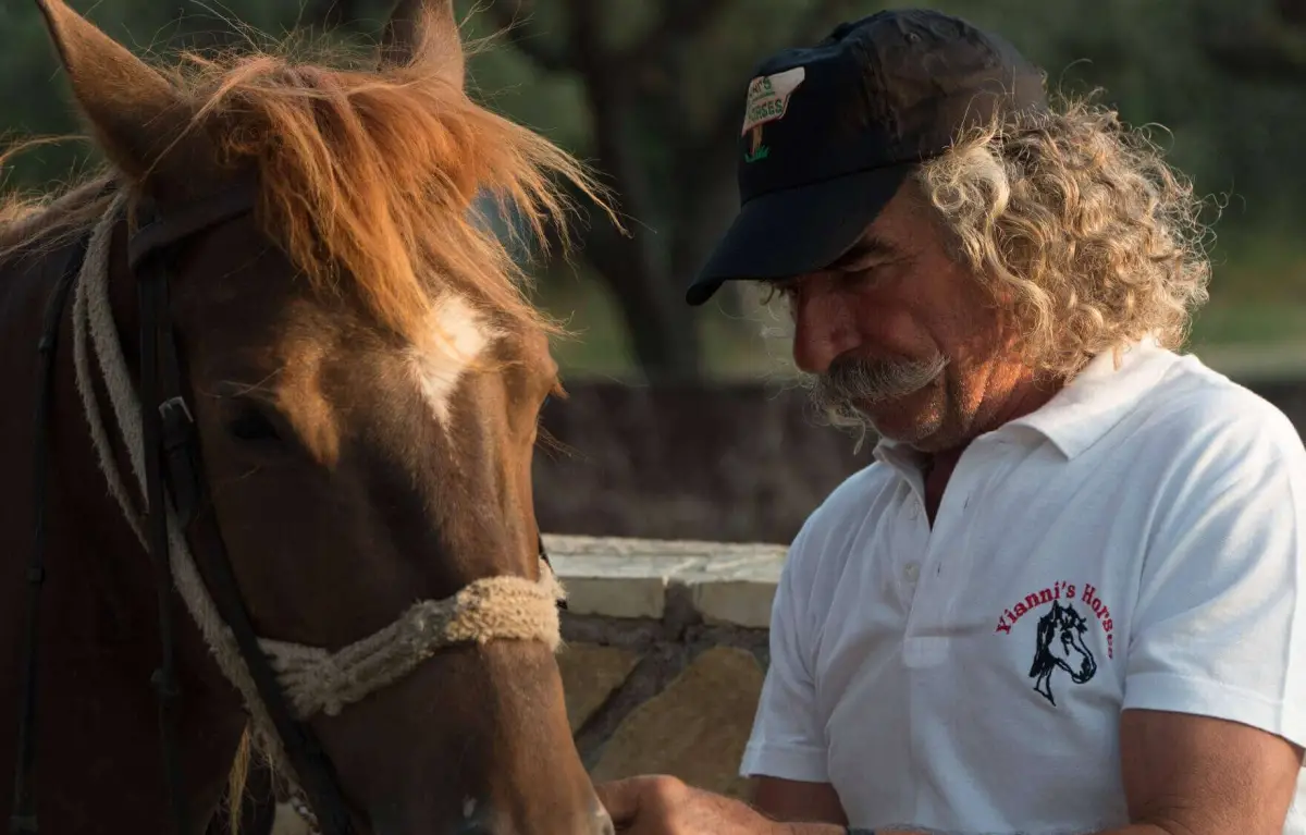 Horse Riding In Nature – One Hour Duration