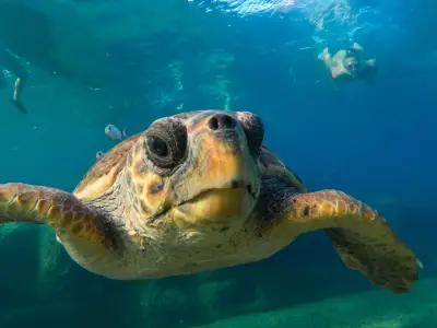 Eros Caves Snorkeling Morning Experience