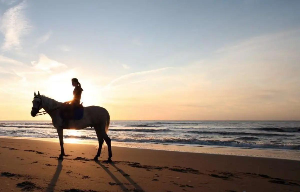 Horse Riding and swimming