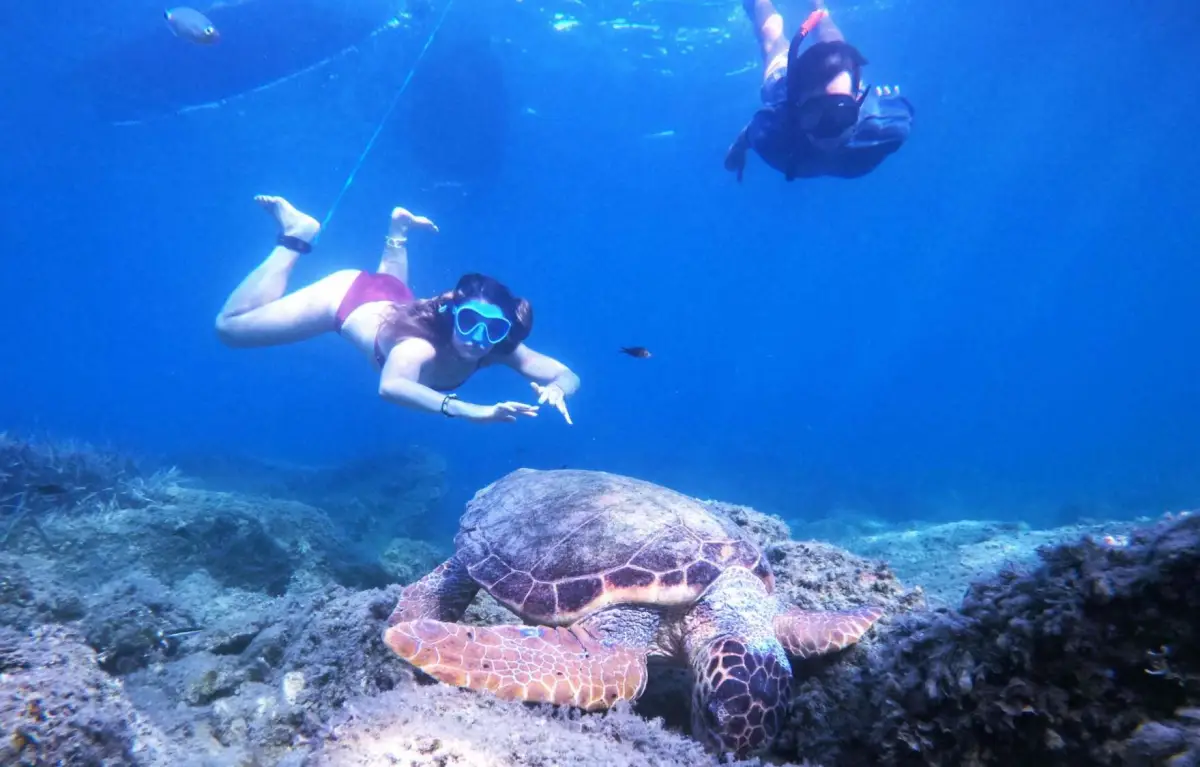 Marathonisi (Turtle Island) Sup Noon Experience