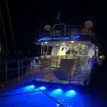 3 Hours Cruise to Marathonisi - Caretta Caretta from the Port of Zakynthos