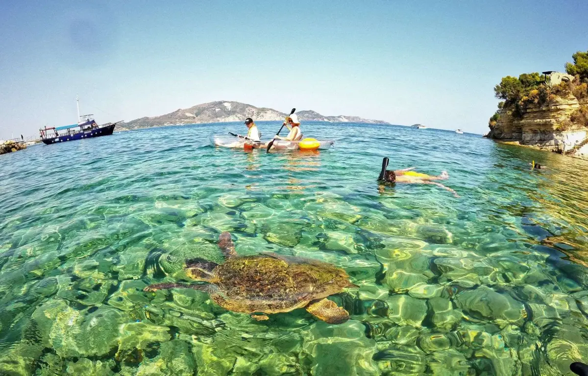 Marathonisi (Turtle Island) Sup & Snorkeling Sunrise Experience