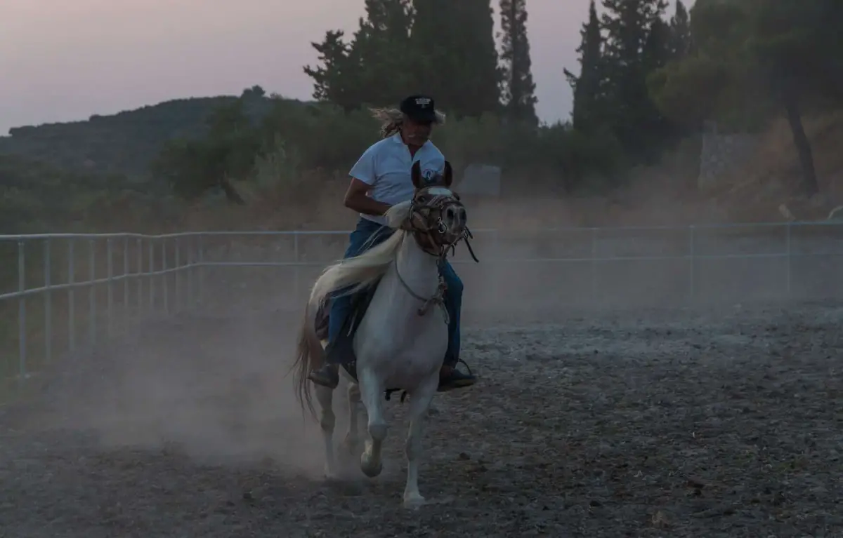 Horse Riding & Swimming – Three-Hour Ride