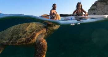 Kayak & Sup Turtle Experience